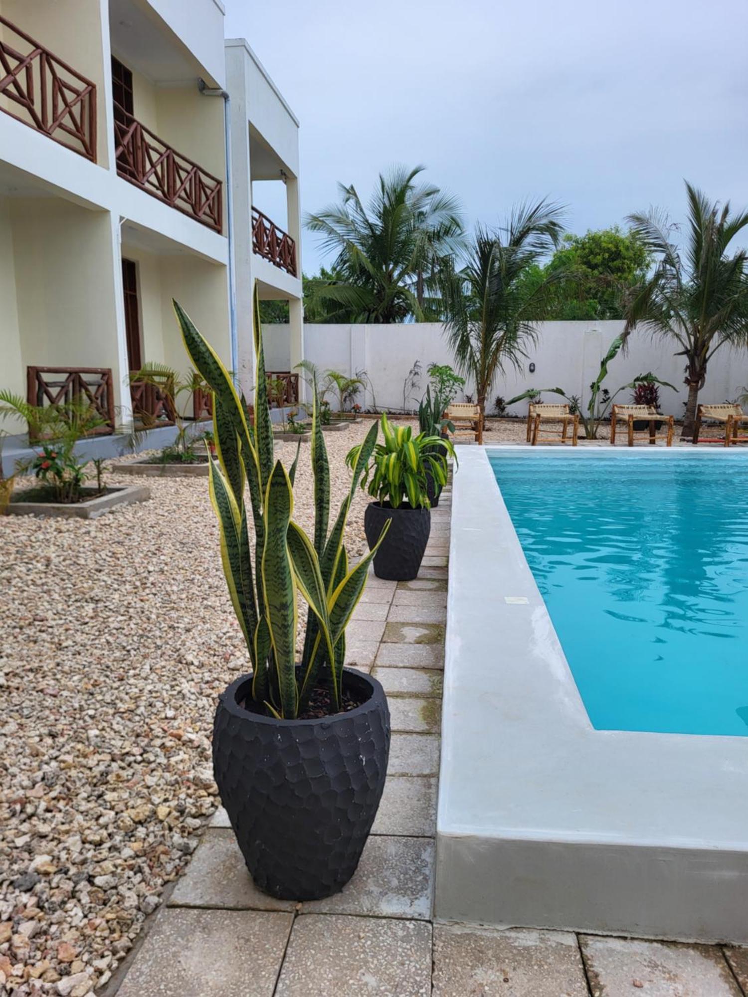 Hotel Andy's Michamvi